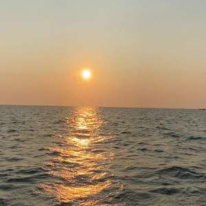 小怪兽网页版1网页版2在哪看
