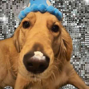 小怪兽网页版1网页版2在哪看
